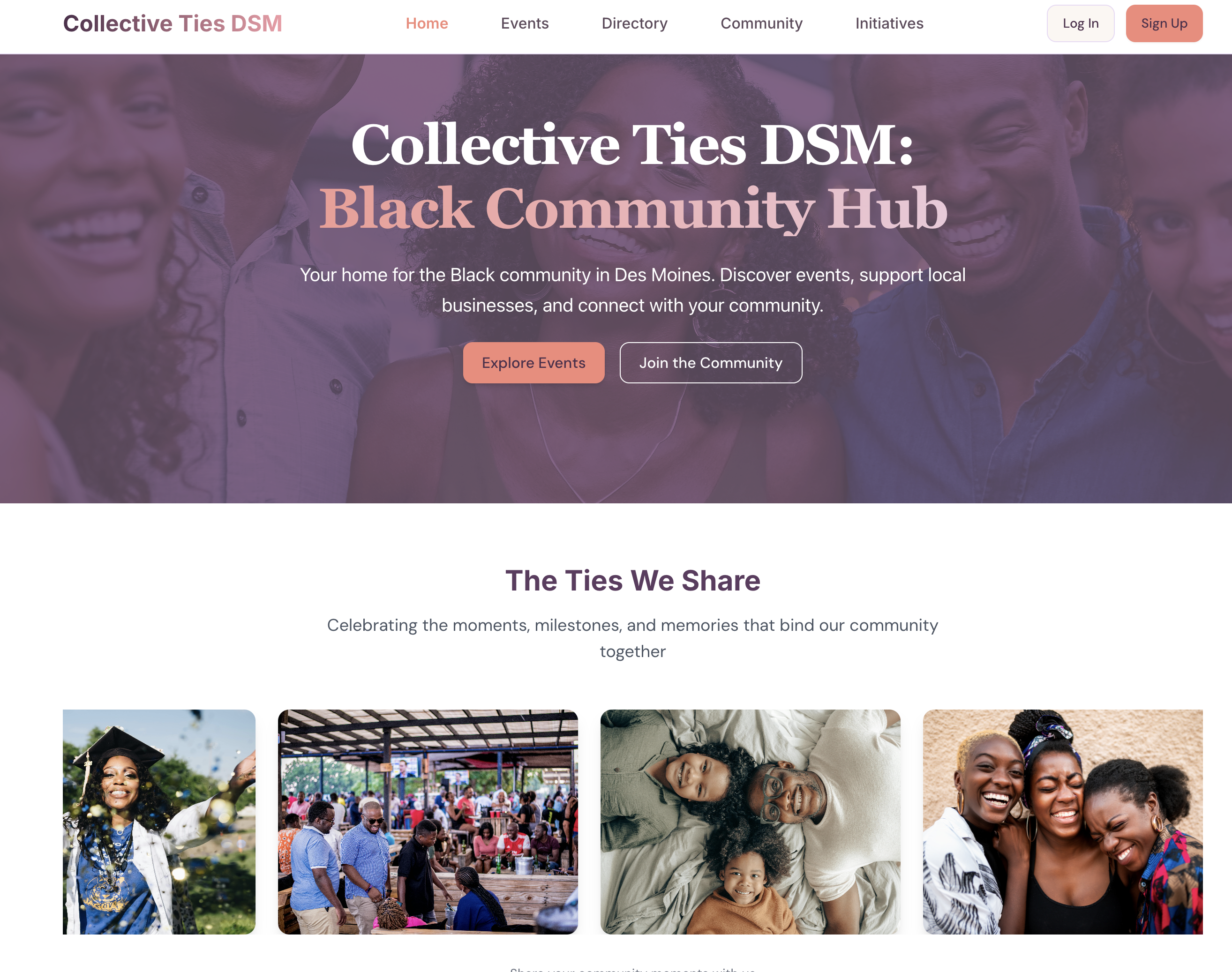 Collective Ties DSM Platform Screenshot